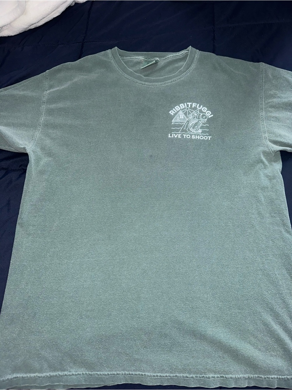Comfort Colors Pastel Green Crew Neck Tee with White Chest Graphic